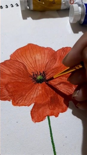 Poppy Flower Watercolor. #shots #youtubeshorts #youtubechannel #poppyflower #watercolor #viral