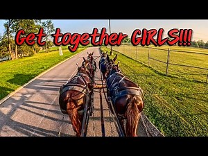 EXERCISING the LOGGING MULES!! 4 MULE Hitch..#233 #mules #horselogging #drafthorses #logging