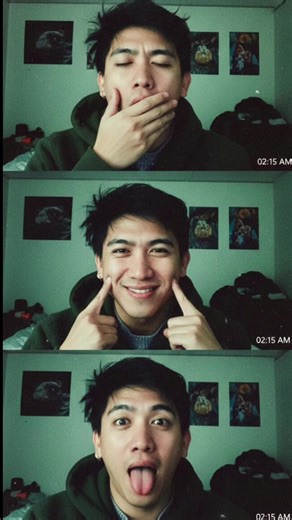 Create a Low-Res Webcam Collage with Expressive Moods