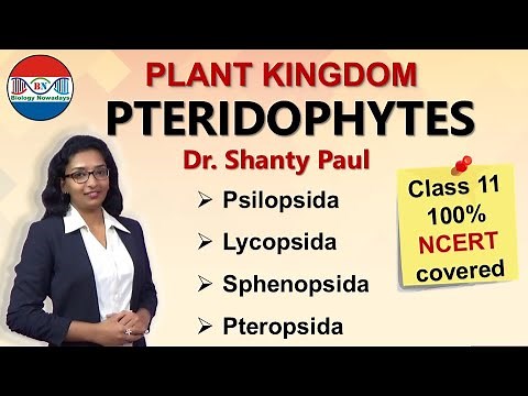 Pteridophytes- Plant kingdom