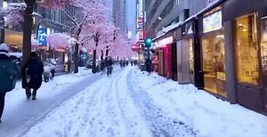 比肩Sora！快手、北大开源，超高清10秒、24帧视频模型_腾讯新闻