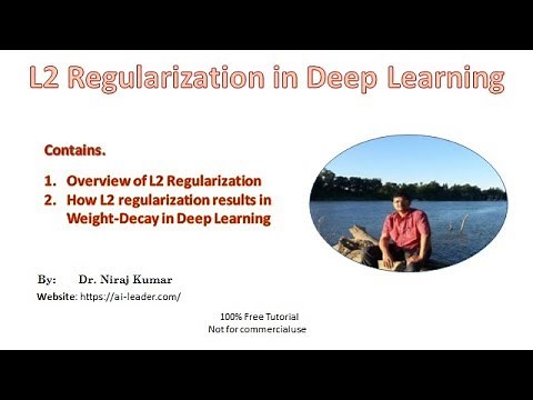 L2 Regularization in Deep Learning and Weight Decay