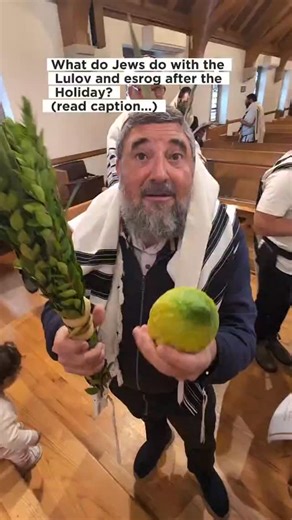 Avrohom Rapoport on Instagram: "✨What happens to the Lulav & Esrog after Sukkot?✨ Many Jews don’t just toss them! The esrog (citron) is considered holy—it was used for a mitzvah—so we try to keep that holiness going. Some people: 🍋 Stick cloves into it and use it for Havdalah (the short ceremony that marks the end of Shabbat). 🍯 Turn it into jam or infuse it in liquor (though be careful—most esrogim are coated with chemicals to preserve them). And the lulav (the palm branch)? Some put it on to