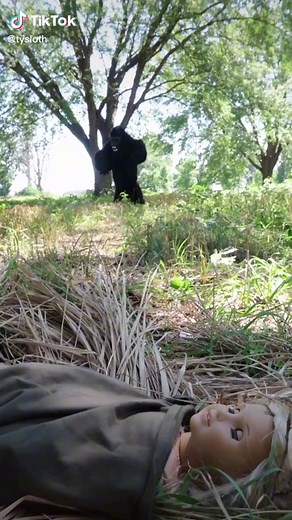 The Heartwarming Journey of Tarzan and His Gorilla Family