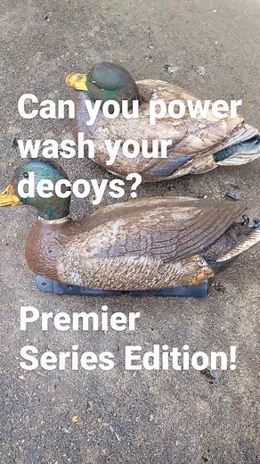 4.9K views · 164 reactions | You can pay a lot of money for decoys these days. Why not buy something that will last? #ghdecoys #madeinusa #madeinamerica #decoys #duckhunting #duckdecoys | G&H Decoys | Facebook