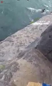 Guy Commits Suicide at the Niagara Waterfalls