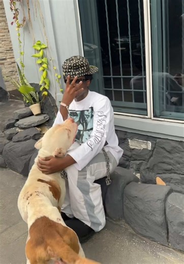 Mastering High Notes with Apate