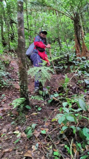 Explore pegunungan Ciwidey 🔥 Gunung Cipadaruum #ciwidey #pendaki #pendakigunung #hiking #explore