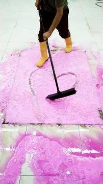 The Most Satisfying Carpet Cleaning Ever