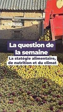 QUELLE EST LA STRATÉGIE NATIONALE CONCERNANT L'ALIMENTATION, LA NUTRITON, CLIMAT ? #agriculture