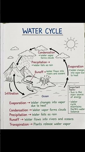 The Water Cycle | How Water Moves Around Earth