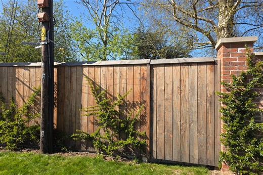 When my dogs escaped, I learned the true meaning of neighbourly love