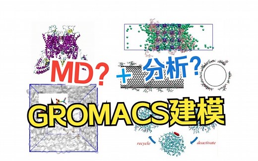 GROMACS建模与MD教学 | PACKMOL/MS建模、VMD展示、拓扑文件构建、吸附、解离、聚集模拟，氢键、π-π、密度、粘度、相互作用能