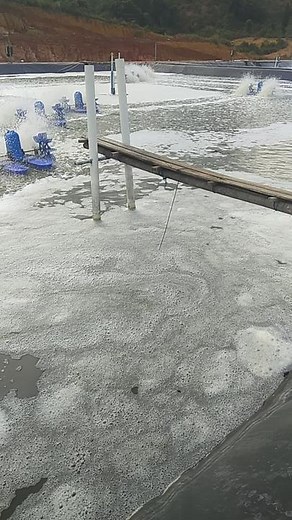 Fishing Techniques for Catching Shrimp in Natural Waters