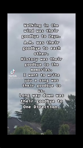 One Direction 101 on TikTok