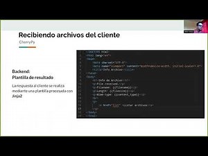 Recibiendo archivos en un servidor python