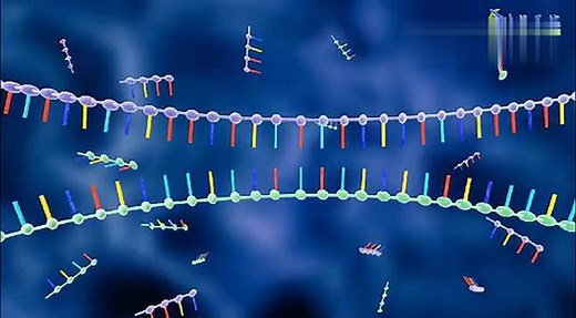 实时荧光定量PCR_高清