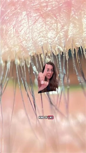 It’s called Demodex 🕷️and these little mites normally live all over our face and don’t cause any