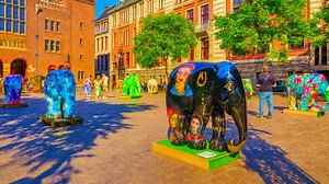 What Is Amsterdam Like on a Summer Walk?