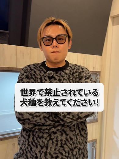 【その“かわいい”は、誰が作った？】 今、世界で問題視されている犬や猫たち。 それは“突然そうなった”わけじゃない。 すべて、人間が意図的に作ってきた歴史がある。 ■ブルドッグ・フレンチブルドッグ（短頭種） もともとブルドッグは、牛と戦わせる「ブルベイティング」という見世物のために作られた犬。 ・低い重心 ・強い顎 ・そして「噛みついても離さない」構造 これが求められた。 その後、闘いは禁止されたが、 「つぶれた顔＝かわいい」という価値観だけが残り、 さらに鼻を短く、さらに丸く── 人為的に交配され続けた。 結果、 ・呼吸困難（BOAS） ・熱に極端に弱い ・睡眠すら苦しい個体もいる →オランダでは繁殖制限 →ノルウェーではブルドッグ系の繁殖に違法判決 “かわいい”の代償が、呼吸。 ■ペルシャ猫 もともとは中東（ペルシャ地方）由来の長毛種。 当初はここまで顔は潰れていなかった。 しかしショー文化の中で、 ・より平たい顔 ・より大きな目 ・より人形のような外見 が評価されるようになり、極端な形へ。 結果、 ・涙やけ（涙が常にあふれる） ・鼻腔狭窄による呼吸障害 ・皮膚疾患 ドイツなどでは