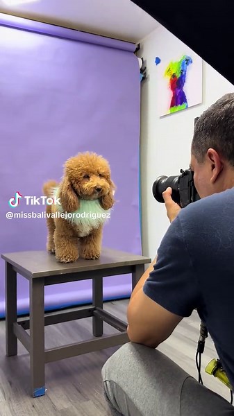 Videos de Miss Bali (@missbalivallejorodriguez) con “sonido original - Miss Bali”