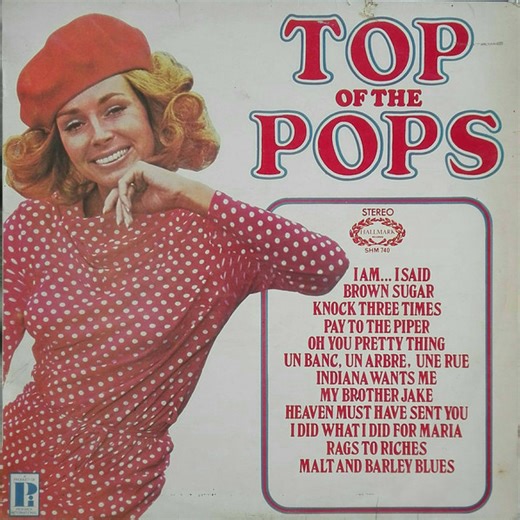Unknown Artist - Top Of The Pops Vol. 17