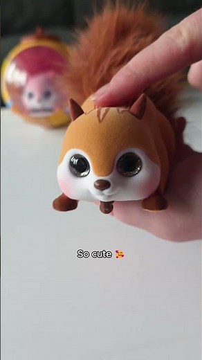 Satisfying sounds of a speedy squirrel 🐿️💨