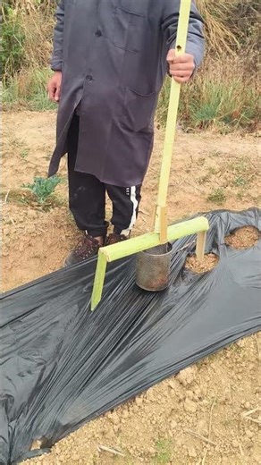 Manufacturing equipment for making holes in plastic film