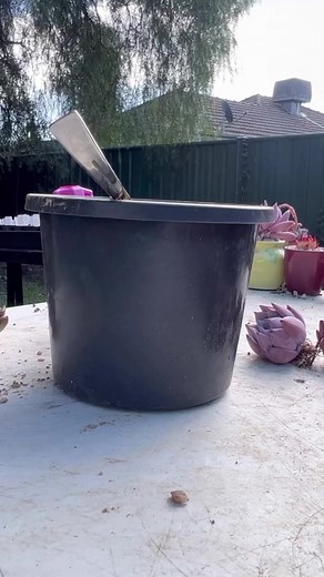 Potting up my plant mail. Soil used is gritty mix (50%), akadama (25%) and kanuma (25%). | Kathssuccs