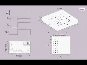 SeeMRI Gradient Echo Imaging Simulation