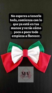 🎀Moño tricolor...🪄 | Moños Valexia