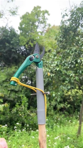 🌿✂️ DIY Gardening Hack: Making a High-Reach Tree Branch Cutter with a Hand Pruner#shorts