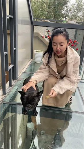 小孩子的快乐日常 🤣 #与城市共欢乐 #海合安文旅与城市共欢乐