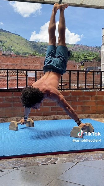 Visualizar y ejecutar, forzar hasta lograr.