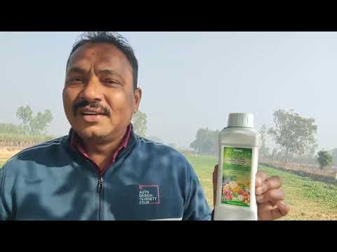 Apsa 80 Information V3