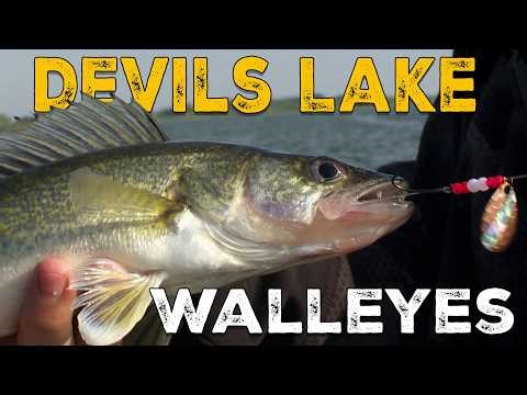 Catching Limits on Devils Lake | Summer Walleye Fishing
