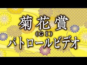 菊花賞2024 パトロールビデオ