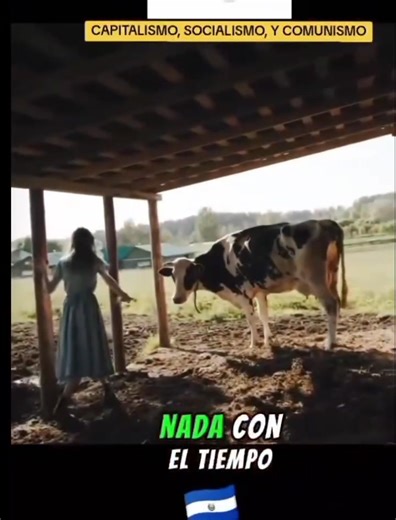 🗣️Capitalismo, Socialismo y Comunismo explicado con vacas👇 | Macho Moro
