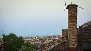 Swallow birds performing their evening flying dance above the rooftops and chimneys of a city that is preparing to fall asleep.