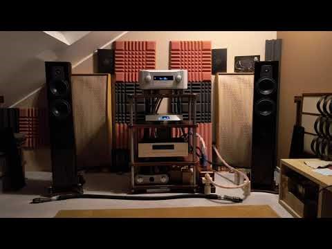 Esoteric F01 Lumin T2 Dynaudio Contour 30 #108