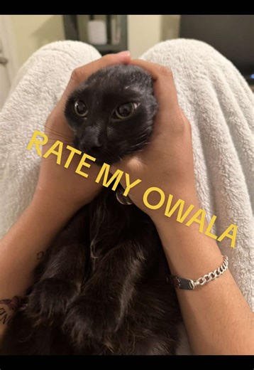 Welcom the newest member of the family, Regetful something. I don’t rembee#owala #brita #addiction #owalawaterbottle