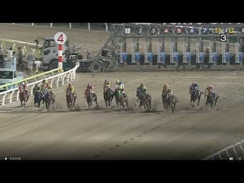 2025/11/27 雑談ライブ