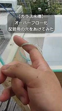 【DIY】ガラス水槽をオーバーフロー化！穴を開けてみた #あくありうむ #オーバーフロー #diy #水槽 #ガラス水槽