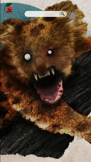 🎥 The Truth About Drop Bears: Australia's Legendary Creature 🐨