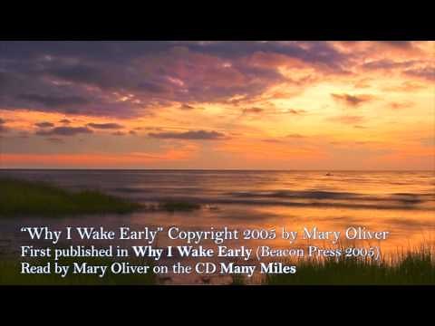 Why I Wake Early by Mary Oliver (read by the poet on Many Miles)