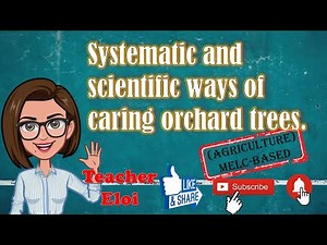 Systematic and scientific ways of caring orchard trees//Week 5//MELC-BASED