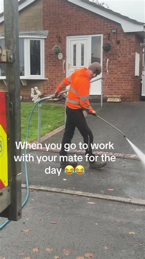 Meet Jack: The Best Work Buddy Ever!