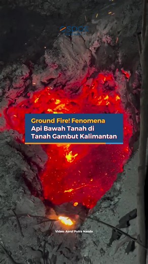 Sekilas, permukaan tanah terlihat padam. Namun, di bawahnya, api masih membara. Inilah fenomena kebakaran bawah tanah atau ground fire yang terjadi di kawasan lahan gambut terdampak kebakaran hutan dan lahan (karhutla) di Kalimantan. Karakteristik lahan gambut membuat api dapat menjalar di bawah permukaan tanpa terlihat dari luar. Kondisi ini menyulitkan proses pemadaman sekaligus membahayakan petugas yang berjibaku di lapangan. Momen perjuangan tim gabungan memadamkan api tersebut dibagikan aku