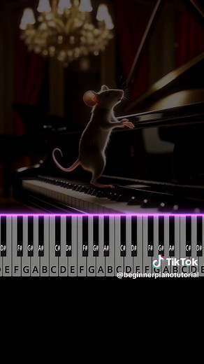 Beginner Piano Tutorial: Dancing Rat Meme