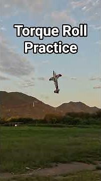 Torque Roll Practice / 토크롤 연습. #extremeflight #torqueroll #3dflight #edge540t